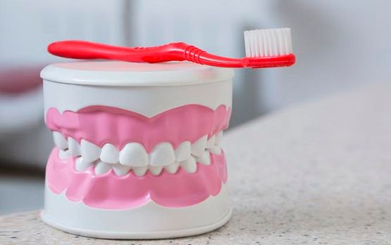 Caja de dientes y cepillo