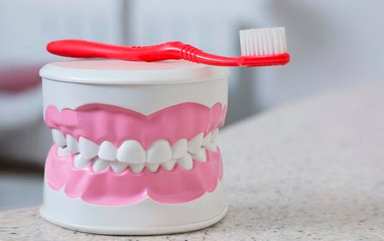 Caja de dientes y cepillo